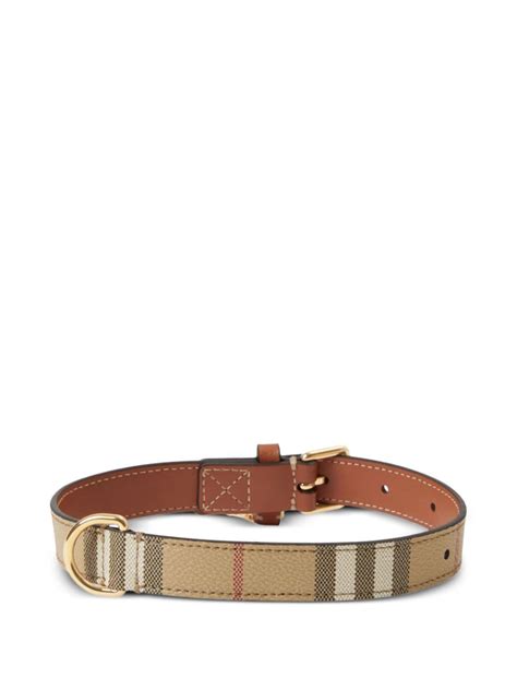 Buy Hundehalsband Burberry Online In India .